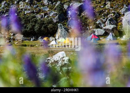 Tentes dans le camp de base de la vallée d'Ishinca, Pashpa, Huaraz, Ancash, Cordillera Blanca, Pérou Banque D'Images