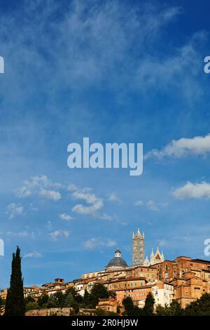 Vue urbaine avec la cathédrale, Cattedrale di Santa Maria Assunta, Sienne, Toscane, Italie Banque D'Images