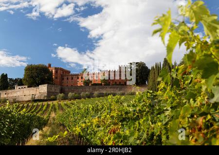 Castello di Bolio, la plus ancienne exploitation viticole toscane, Gaiole in Chianti, Toscane, Italie Banque D'Images