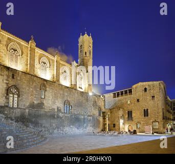 Kings square illuminé la nuit, Plaça del Rei, Barri Gotic, Barcelone, Catalogne, Espagne Banque D'Images