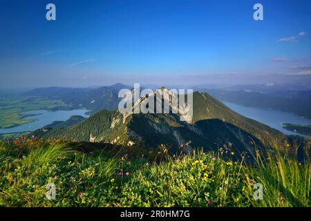 Vue de Heimgarten au lac Kochelsee, Benediktenwand, Jochberg, Herzogstand et lac Walchensee, Heimgarten, Alpes bavaroises, haute-Bavière, Bavière, Banque D'Images