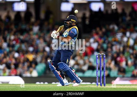 Sydney, Australie, 5 novembre 2022. Bhanuka Rajapaksa, du Sri Lanka, a participé au match de cricket de la coupe du monde T20 de la CCI entre l'Angleterre et le Sri Lanka au Sydney Cricket Ground, à 05 novembre 2022, en Australie. Crédit : Steven Markham/Speed Media/Alay Live News Banque D'Images