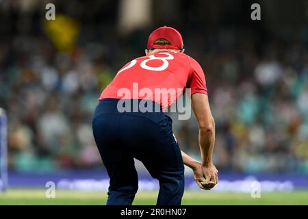 Sydney, Australie, 5 novembre 2022. Sam Curran d'Angleterre attrape Bhanuka Rajapaksa du Sri Lanka lors du match de cricket de la coupe du monde masculin T20 de la CCI entre l'Angleterre et le Sri Lanka au terrain de cricket de Sydney sur 05 novembre 2022 à Sydney, en Australie. Crédit : Steven Markham/Speed Media/Alay Live News Banque D'Images