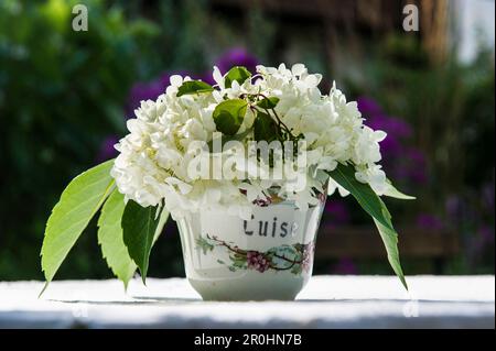 Encore vie avec une tasse de café antique et des fleurs d'été, Freiamt, Emmendingen, Bade-Wurtemberg, Allemagne Banque D'Images