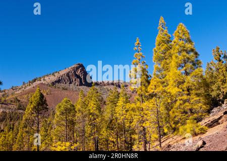 Randonnée à Paisaje Lunar près de Vilaflor, Tenerife, Canaries, Espagne Banque D'Images