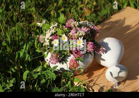 Mortier en céramique avec pilon, différentes fleurs sauvages et herbes sur l'herbe verte à l'extérieur Banque D'Images