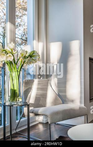 Vase avec amaryllis, mobilier moderne, Hambourg, Allemagne Banque D'Images