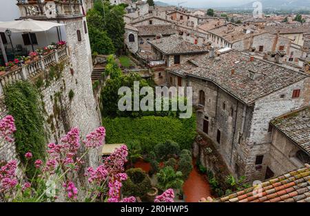 Vue depuis la terrasse du Palazzo Ducale sur le centre historique de Gubbio, St. François d'Assise, via Francigena di San Francesco, St. Francis Way, Gubbi Banque D'Images