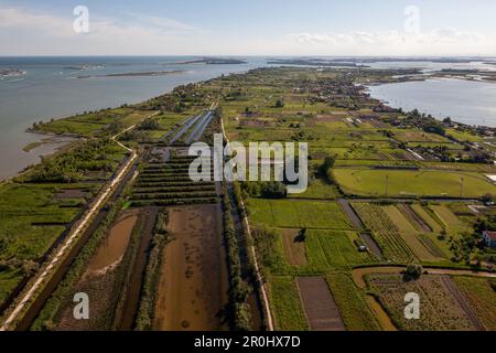 Vue aérienne des îles dans le lagon vénitien, île de Sant' Erasme, Vénétie, Italie Banque D'Images