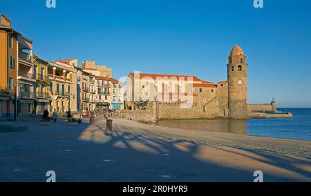 Le port de Collioure avec église Notre-Dame-des-Anges, Côte Vermeille, Méditerranée, Département Pyrénées-Orientales, Roussillon, France, Europe Banque D'Images