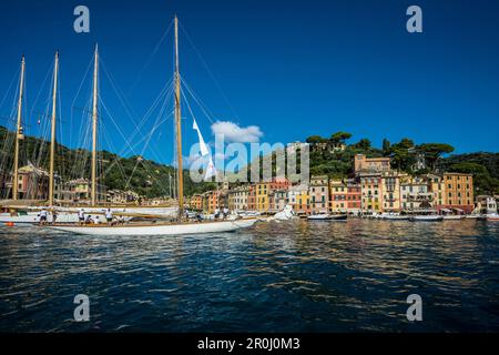 Portofino, province de Naples, Riviera Italienne, ligurie, italie Banque D'Images