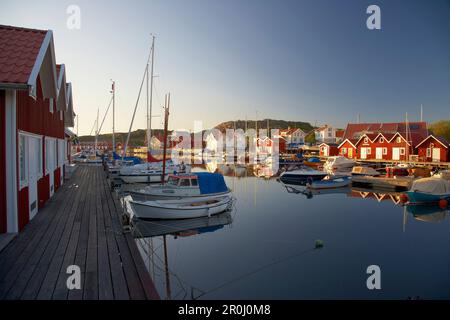 Des bateaux et des maisons d'amorçage dans le port, l'Île Tjoern Bleket, Province de Bohuslaen, côte ouest, la Suède, Europe Banque D'Images