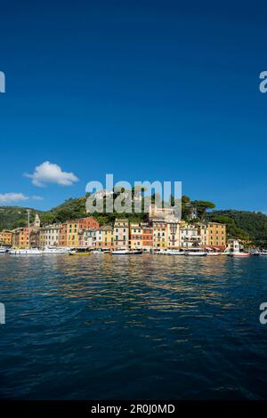 Portofino, province de Naples, Riviera Italienne, ligurie, italie Banque D'Images