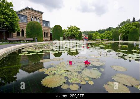 Jardin botanique, Wilhelma, Stuttgart, Bade-Wurtemberg, Allemagne Banque D'Images