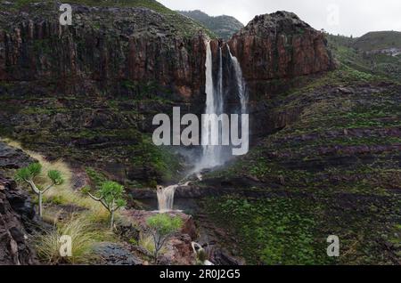 Cascada El Escobar, cascade, Barranco del Charco Azul, gorge au bout de la vallée de El Risco, près de El Risco, près d'Agaete, réserve naturelle, Parque NAT Banque D'Images