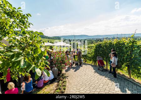 Vous pourrez vous rendre dans une Besenwirtschaft (taverne du vin) entre les vignobles de Stuttgart, Bade-Wurtemberg, Allemagne Banque D'Images