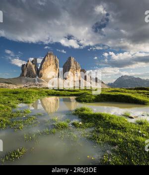 Tre Cime di Lavaredo avec reflet dans une flaque, le Tyrol du Sud, Dolomites, Italie Banque D'Images