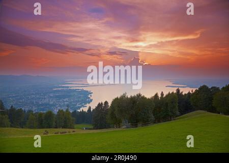 Vue depuis la montagne Pfaender sur la baie de Bregenz et Bregenz, coucher de soleil, baie de Bregenz, Bodensee, Autriche, Europe Banque D'Images