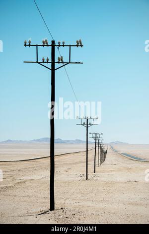 Une rangée sans fin de pylônes d'électricité dans le désert près de Luderitz, Namibie, Afrique Banque D'Images