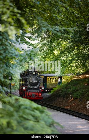 Chemin de fer étroit à vapeur Rasender Roland, île de Ruegen, Mecklembourg-Poméranie occidentale, Allemagne Banque D'Images