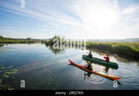 Tôt le matin sur la rivière Wuerm près de Munich, Bavière, Allemagne Banque D'Images