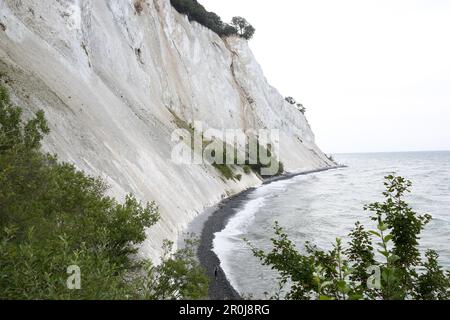 Falaises de craie Mons Klint, Klintholm, Île mon, Danemark Banque D'Images