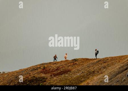 Le photographe de la destination du mariage prend des photos de mariage d'engagement de couple d'âge moyen à Hurricane Ridge dans le parc national olympique. Banque D'Images