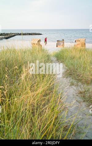 Couple en train de marcher le long de la mer Baltique, morne, Probstei, Schleswig-Holstein, Allemagne Banque D'Images