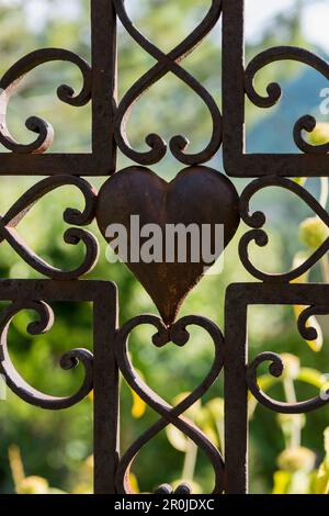 Vieux cimetière, La Roche sur le bois, proche de Buis-les-Baronnies, Département de la Drôme, région Rhône-Alpes, Provence, France Banque D'Images