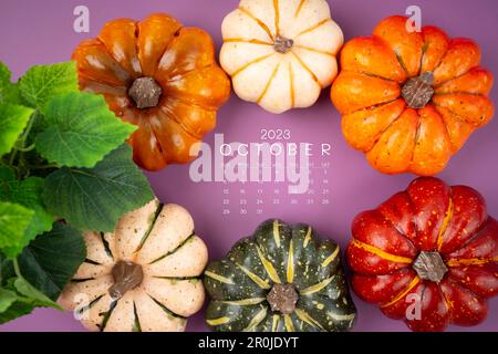 Octobre 2023 Calendrier et citrouilles sur fond de carton violet. Banque D'Images