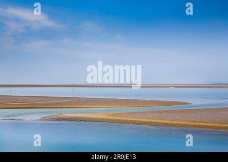 Banc, Hallig Langeness, au nord de l'archipel Frison, Schleswig-Holstein, Allemagne Banque D'Images