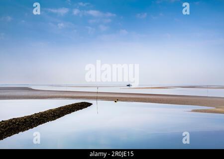 Banc, Hallig Langeness, au nord de l'archipel Frison, Schleswig-Holstein, Allemagne Banque D'Images