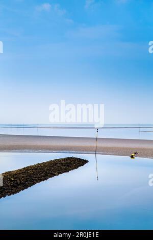 Banc, Hallig Langeness, au nord de l'archipel Frison, Schleswig-Holstein, Allemagne Banque D'Images