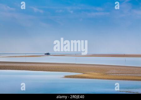 Banc, Hallig Langeness, au nord de l'archipel Frison, Schleswig-Holstein, Allemagne Banque D'Images