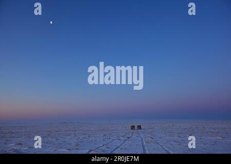 Deux bus UAZ dans la steppe mongole en hiver, avec demi-lune dans le ciel, Mongolie Banque D'Images