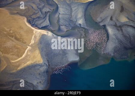 Vue aérienne, le vol des flamants roses sur la lagune de Sandwich Harbour, Namibie Banque D'Images