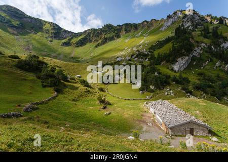 Cabane alpine de Kleintiefentalalm, alpage de montagne dans les montagnes de Schliersee, au-dessus du lac Spitzingsee et sous Rotwand, montagnes de Mangfall, bavarois A. Banque D'Images