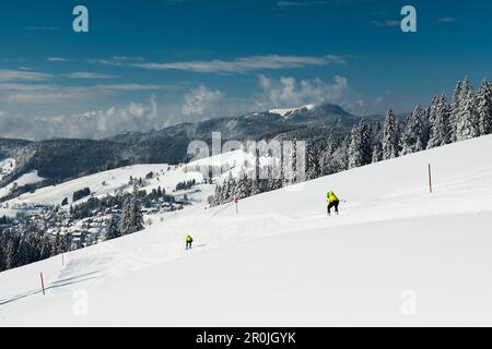 Skieurs et paysage d'hiver, Todtnauberg, Forêt Noire, Bade-Wurtemberg, Allemagne Banque D'Images