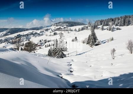 Paysage d'hiver, Todtnauberg, Forêt Noire, Bade-Wurtemberg, Allemagne Banque D'Images