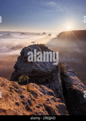 Vue de Gleitmannshorn sur le petit Zschand avec brouillard au lever du soleil avec des rochers en premier plan, Little Winterberg, parc national Saxon Suisse, Banque D'Images
