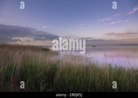 Saaler Bodden dans le parc national de la région de la lagune de Poméranie occidentale vu du port de Dierhagener avec des nuages dans le ciel du soir, Dierhagen, Fischland-Da Banque D'Images