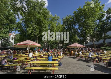 Prater, Biergarten, Kastanienallee, Prenzlauer Berg, Berlin Banque D'Images