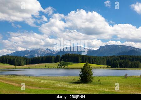 Vue sur Attlesee près de Nesselwang à Tannheimer Berge, Allgaeu, Bavière, Allemagne Banque D'Images