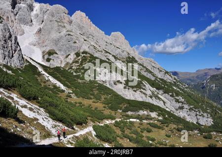 Randonneurs sous Tre Cime di Lavaredo vers Altensteintal, Val Pusteria Valley, Sesto, Dolomites, Tyrol du Sud, Vénétie, Alto Adige, trois pics nature Banque D'Images