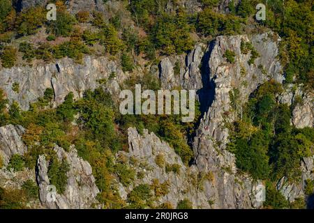 Vue de Prinzensicht près de la place de danse des sorcières (Hexentanzplatz), aux rochers, falaises et grimpeurs en automne, vallée de la Bode, Thale, Harz Foreland, Harz Banque D'Images