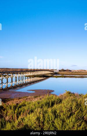 Pont sur la lagune, Quinta do Largo, Naturpark Ria Formosa, l'Algarve, Portugal Banque D'Images