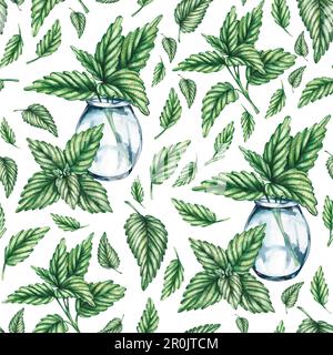 Motif sans couture avec branches de menthe aquarelle sur fond blanc. Motifs pour tissus, papiers peints, textiles, emballages, étiquettes, restaurants , ki Banque D'Images