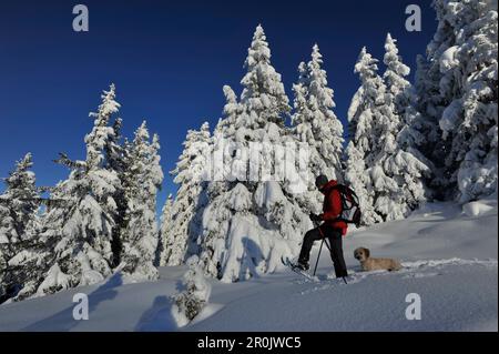 Raquettes sur le Birgitzkoepfl, Alpes de Stubai, Tyrol, Autriche Banque D'Images