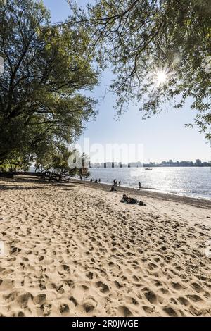 Plage à l'Elbe près d'Oevelgoenne, Hambourg, Allemagne du nord, Allemagne Banque D'Images