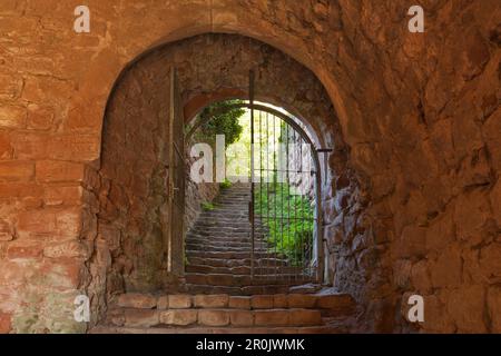 Gate à château Drachenfels, près de Busenberg, Dahner Felsenland, parc naturel de la Forêt du Palatinat, Rhénanie-Palatinat, Allemagne Banque D'Images